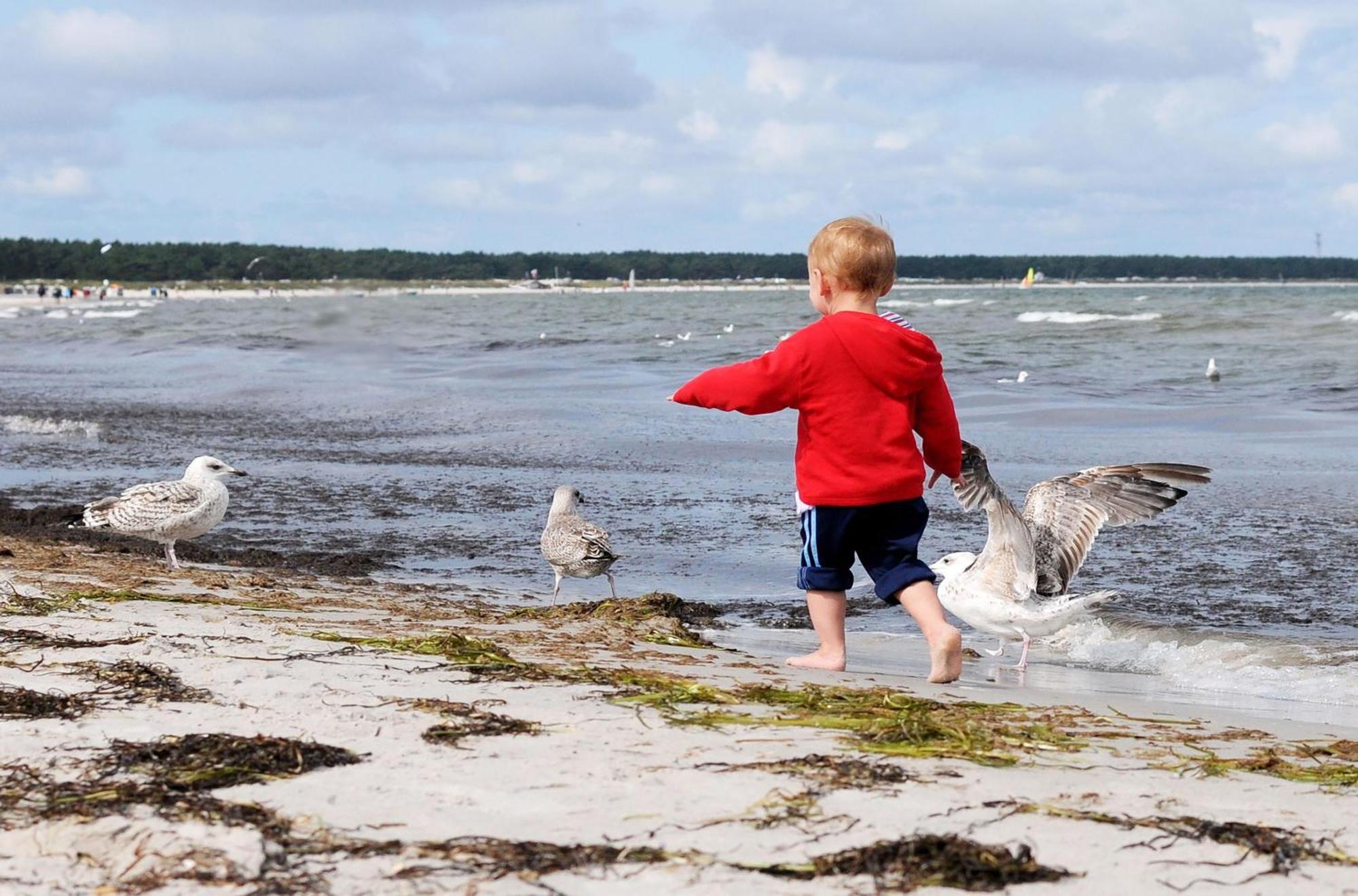 Strand Ostseeheilbad Zingst Exterior foto